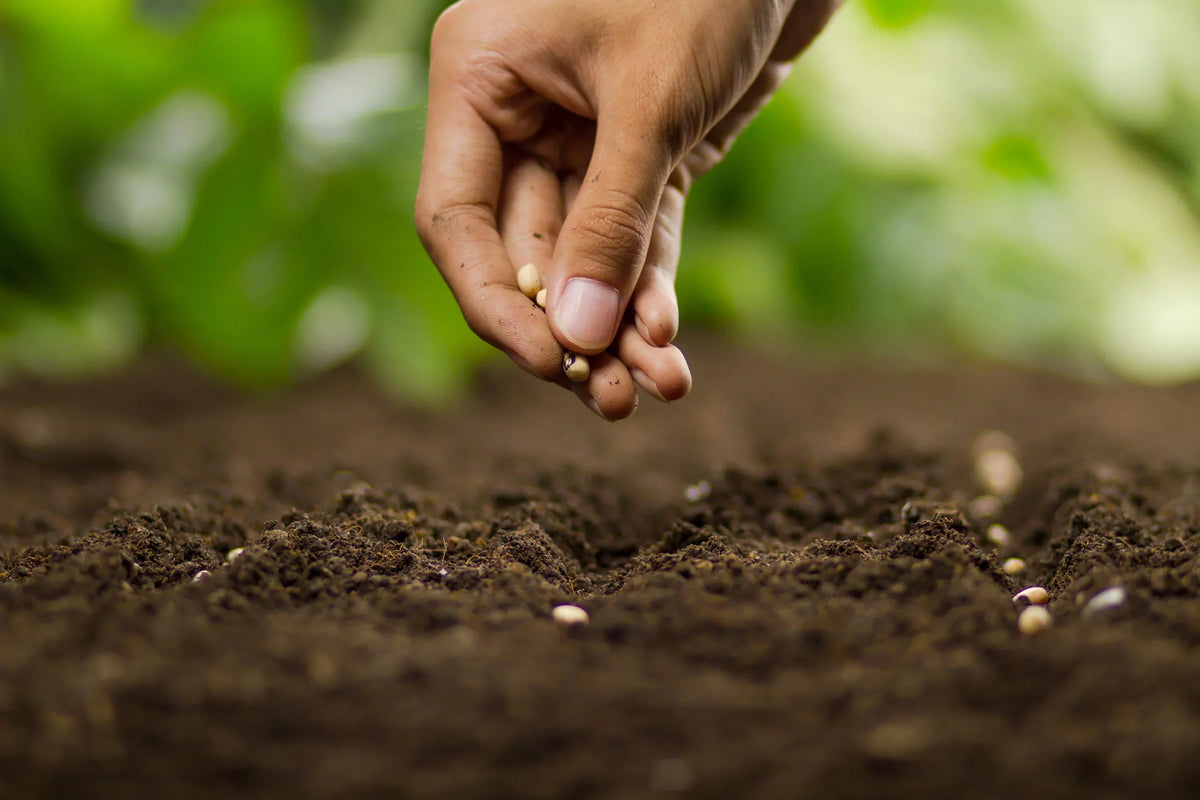 When God Seems Slow: The SOW Method for Waiting Patiently