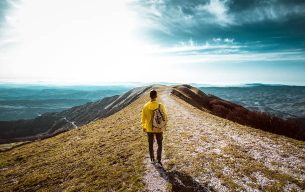 Four Keys to Understanding Your Purpose: What Jeremiah Learned About God's Calling