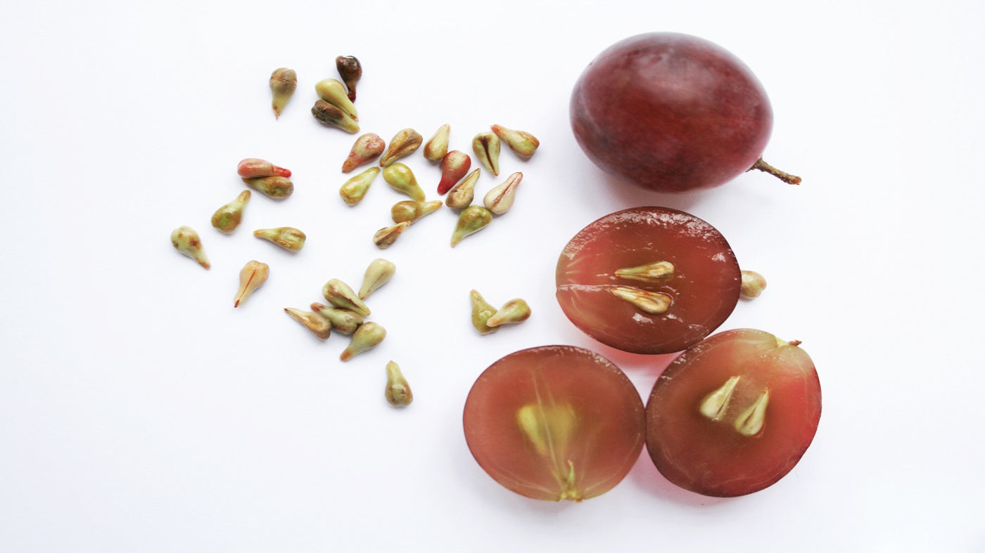 natural grapeseed oil she’s made