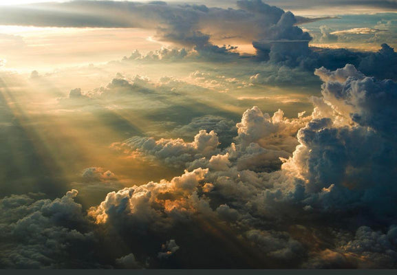 His Ways Are Higher: Finding Faith in God's Perfect Plan