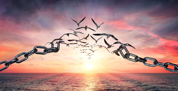 Let Go: God Can Do it Better Than You